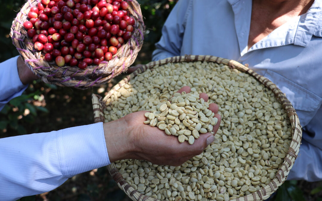 Expo Café 2026 reunirá a los líderes del café