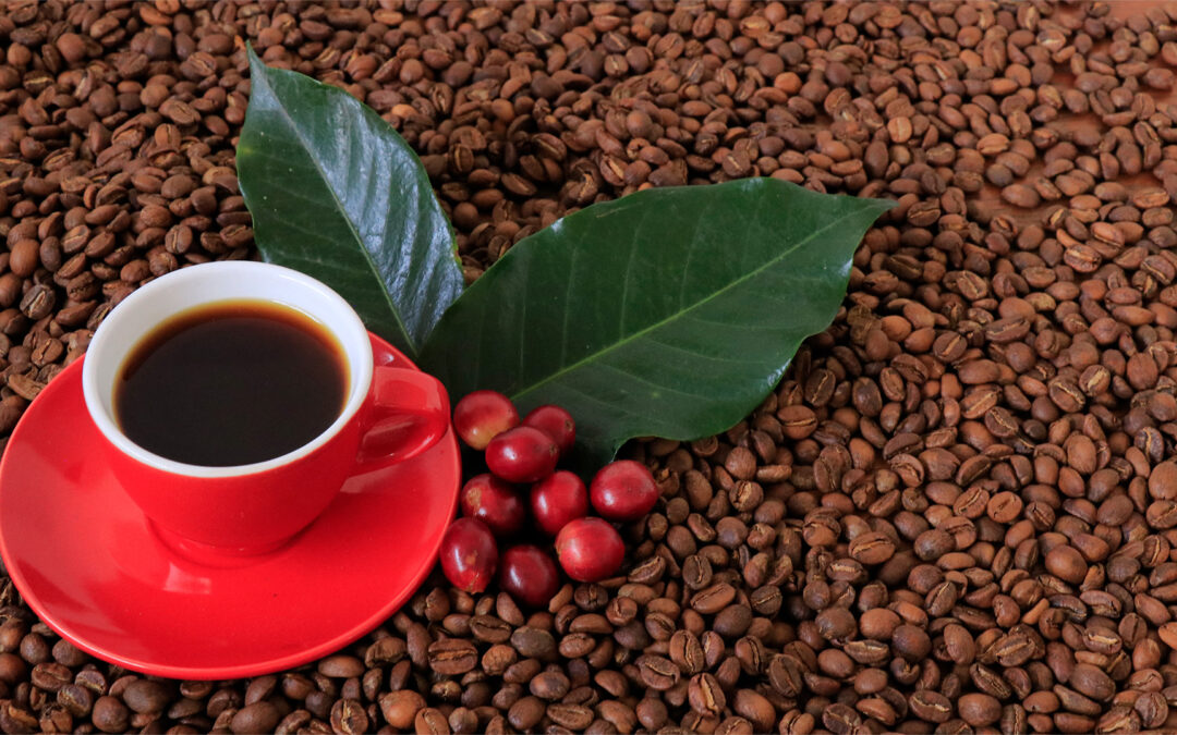 Baristas y expertos demostrarán su talento