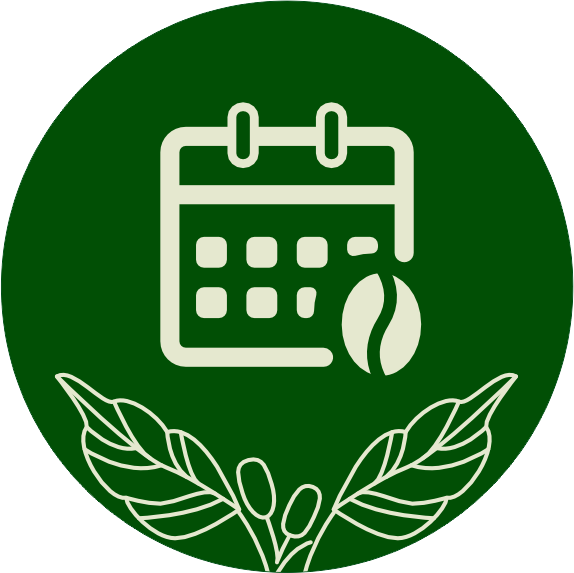 Programa