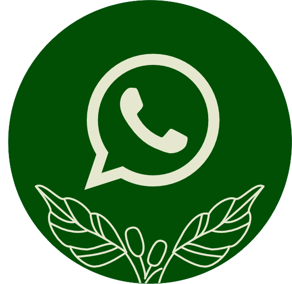 n_ whatsapp